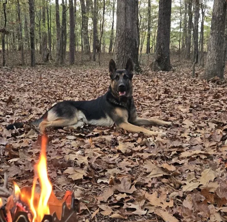 Georgia sitting in the woods with her German shepherd Grizz lying behind her.
